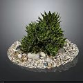 Green Leafy Succulent Plants On Circular White Pebble Base With Small Stones And Colorful Pebbles