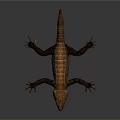 Detailed Realistic Brown Lizard With Long Tail Scales Open Mouth Yellow Eyes On Dark Background