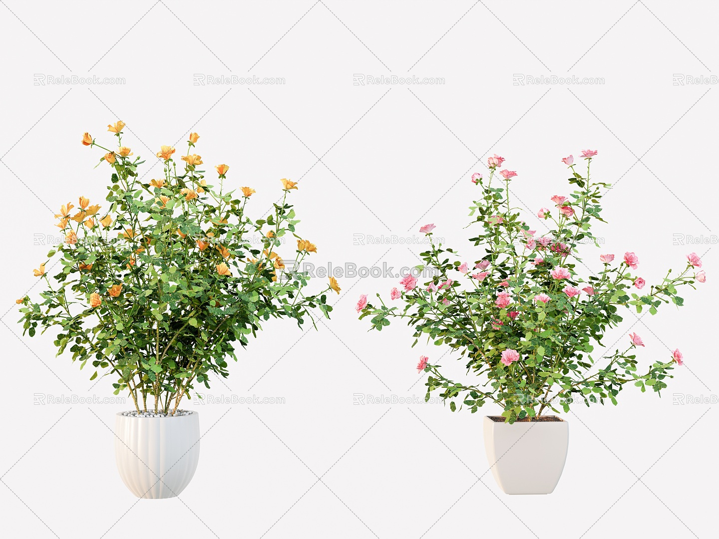 potted rose model