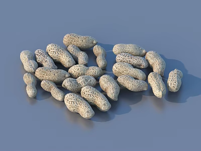 Organic Fresh Raw Peanuts In Shell Pile For Healthy Snacks 3d model