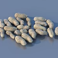 Organic Fresh Raw Peanuts In Shell Pile For Healthy Snacks