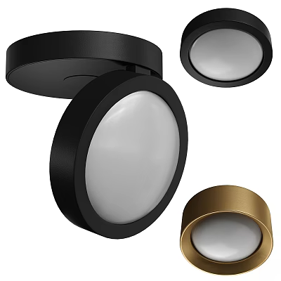 Stylish Contemporary Black Gold Round Downlights And Spotlights For Interior Lighting 3d model