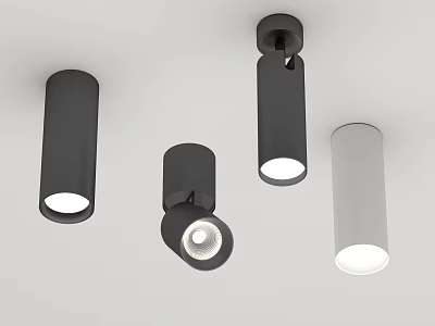 Modern Black And White Ceiling Mounted Downlights And Spotlights Contemporary Design 3d model
