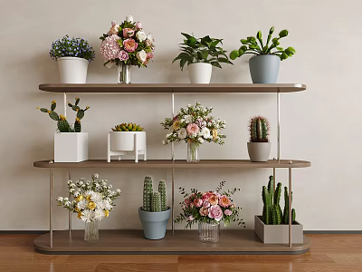 Multi Tiered Indoor Plant Stand With Various Flowers Potted Cacti And Succulents 3d model