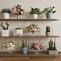 Multi Tiered Indoor Plant Stand With Various Flowers Potted Cacti And Succulents