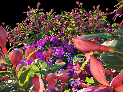 Vibrant Blooming Pink Purple Flower Bush With Lush Green Leaves 3d model