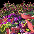 Vibrant Blooming Pink Purple Flower Bush With Lush Green Leaves