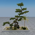 Unique Shaped Arbor With Decorative Rock And Small Plants In Miniature Landscape