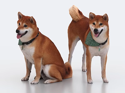 Two Shiba Inu Dogs Wearing Green Bandanas Sitting And Standing On White Background 3d model