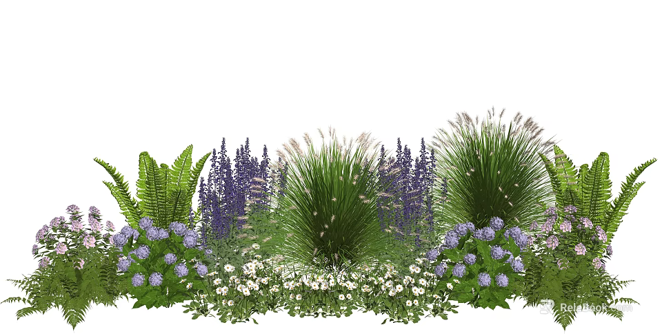 Colorful Garden Plant Combination With Purple Flowers White Blooms Ferns And Tall Grasses 3d model 