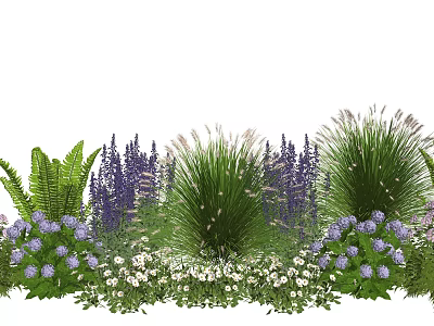 Colorful Garden Plant Combination With Purple Flowers White Blooms Ferns And Tall Grasses 3d model