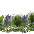 Colorful Garden Plant Combination With Purple Flowers White Blooms Ferns And Tall Grasses