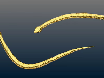 Two Golden Reptile Snakes with Curved Bodies on Dark Blue Background 3d model