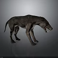 Fierce Prehistoric Wolf Like Creature 3D Model Standing With Open Mouth And Gray Reflective Ground