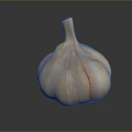 Fresh Garlic Bulb With Natural Texture On Dark Background Close Up View 3d model
