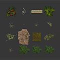 Various Types of Plants Including Red Flowers Green Shrubs Grass Tufts And Moss Mats