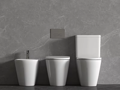 Three Different White Toilets in Modern Bathroom with Grey Marble Wall and Flush Button 3d model