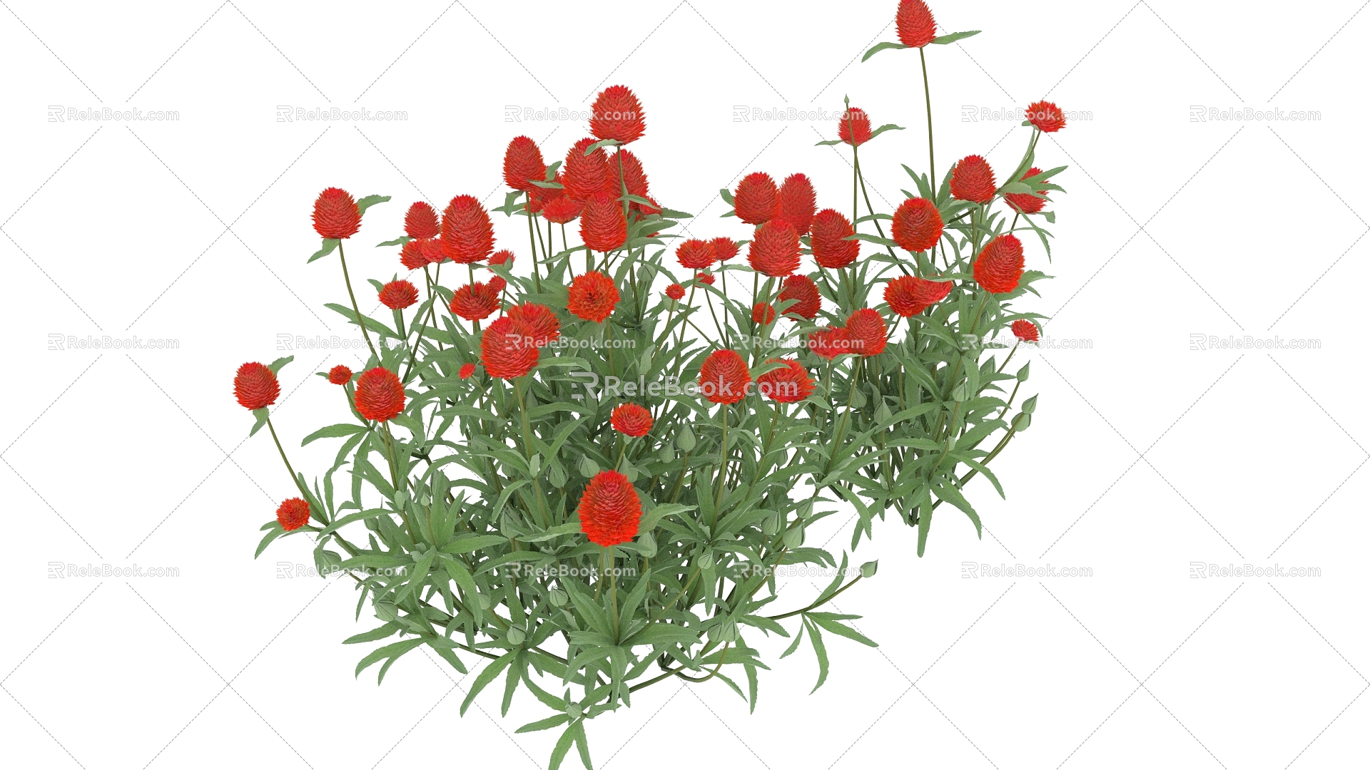 plants flowers flowers green plants 3d model