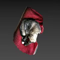 Adorable Video Game Cat Character Sleeping On Red Plush Blanket