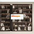 Black Display Cabinets Interior With Glass Doors Books Figurines Sculptures And Green Plants