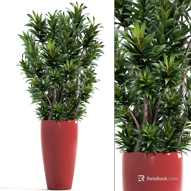 Lush Green Bonsai Potted Plant In Red Ceramic Pot For Indoor Decoration 3d model 