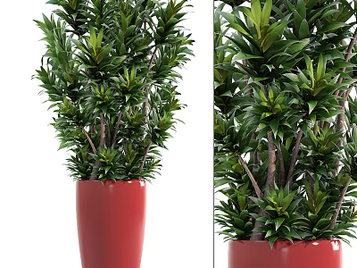 Lush Green Bonsai Potted Plant In Red Ceramic Pot For Indoor Decoration 3d model