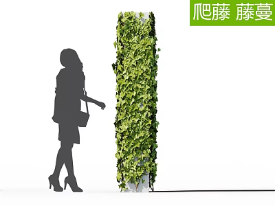 Lush Green Vines Climbing Column With Female Figure Touching Foliage 3d model