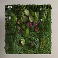 Lush Green Plant Wall Interior With Diverse Leaves And Colorful Flowers