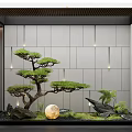 Indoor Zen Landscape Design With Bonsai Pine Tree Glowing Moon Rocks Moss And Gray Wall 3d model