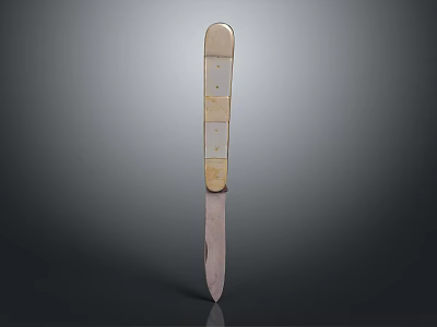 Long Slender Blade Knife Featuring Decorative Colored Square Blocks On Handle 3d model