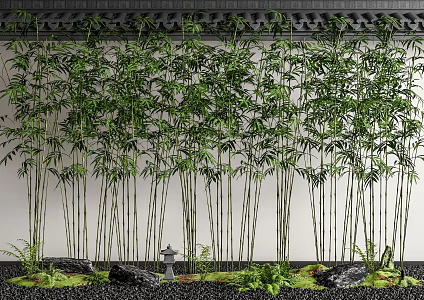 Courtyard bamboo landscape bamboo plant combination eaves 3d model