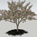 Pink Flowering Arbor with Lush Pink Blossoms Blue Sky White Clouds and Green Grass
