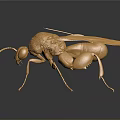 Golden Ant Sculpture With Detailed Texture And Reflective Metallic Finish