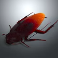 Detailed 3D Rendered Cockroach With Red Brown Body And Orange Back On Gray Gradient Background
