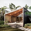 Modern Single Family House With Glass Walls Wooden Roof Palm Trees And Stone Pathway