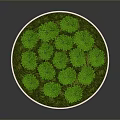 Vibrant Green Arbors Growing on Circular Platform with Lush Green Grass