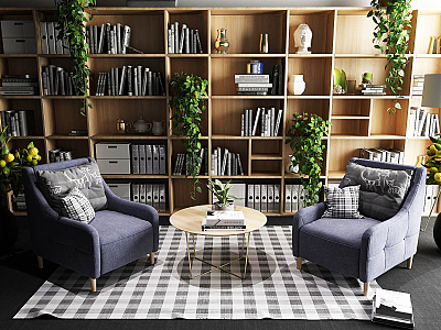 Nordic Casual Sofa Combination Bookshelf Single Chair Sofa Chair Bookcase Green Plant Decoration Coffee Table model