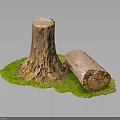 Natural Tree Stump And Log Scene With Green Grass And Detailed Texture