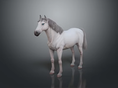 Realistic White Horse Animal Painting With Gray Mane And Dark Background 3d model