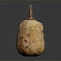 Speckled Bumpy Tan Gourd With Stem As Fresh Organic Food