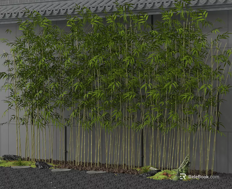Tall Bamboo Plants With Lush Green Leaves Against Gray Wall Background 3d model 