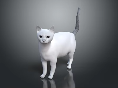 Sleek White Cat With Green Eyes Standing Isolated On Reflective Gray Surface 3d model