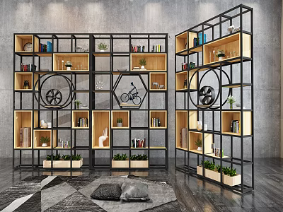 Modern Metal Frame Display Cabinet With Geometric Shelves Books Bicycle Model And Green Plants 3d model