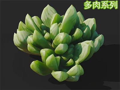 Green Succulent Plant With Fleshy Rosette Leaves And Striped Patterns 3d model
