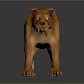 3D Sabertooth Tiger Model Standing With Long Fangs Brown Stripes And Gray Background