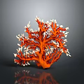 Vibrant Orange And White Branching Marine Coral Structure In Underwater Scene