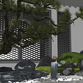 Karesansui Garden Design with Chinese Style Roof Latticed Window Pine Tree Stones Pebbles and Moss