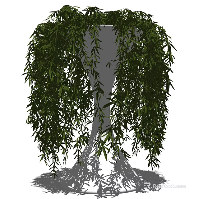 Hanging Bonsai Plant With Slender Leaves And Drooping Branches For Indoor Decor 3d model 