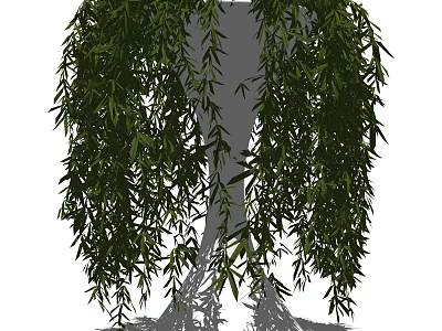 Hanging Bonsai Plant With Slender Leaves And Drooping Branches For Indoor Decor 3d model