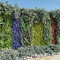 Living Plant Wall Featuring Colorful Purple Yellow Red Plants Vibrant Greenery And Decorative Outdoor Design